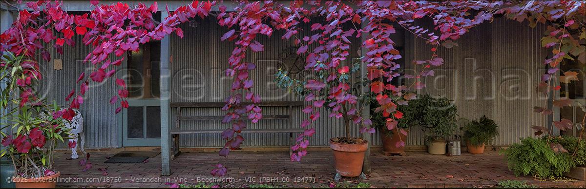 Peter Bellingham Photography Verandah in Vine - Beechworth - VIC (PBH4 00 13477)